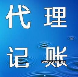 專業公司及個體工商戶注銷代理服務詳解 流程、優勢與選擇指南